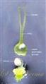  Pistil (Ovule separated from Ovary)